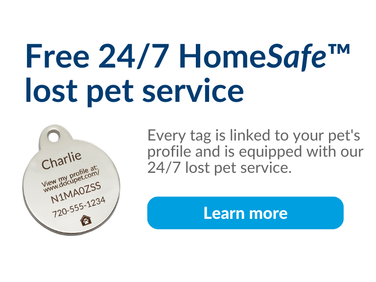 Home again 2024 pet tag