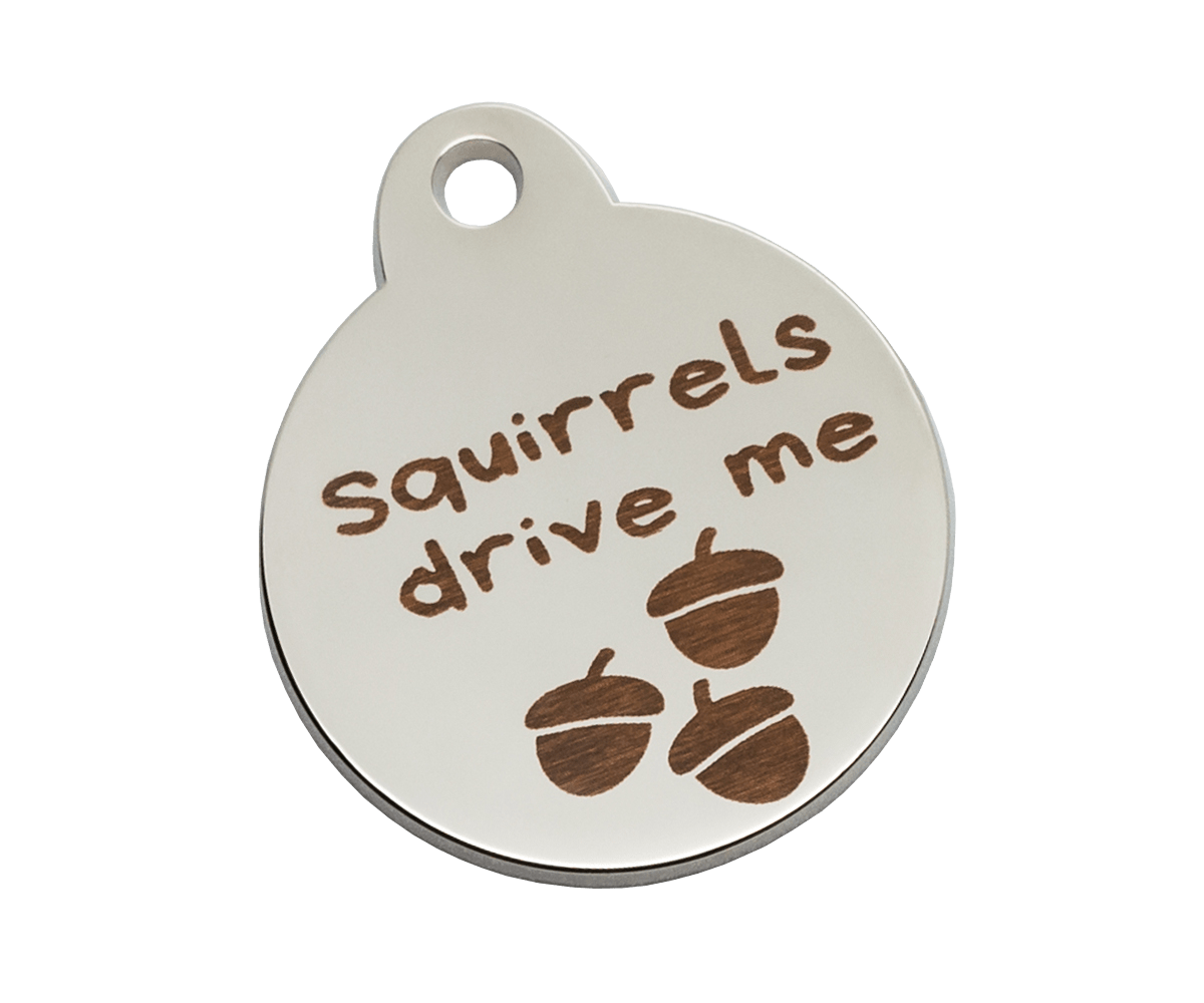 #SquirrelsDriveMeNuts